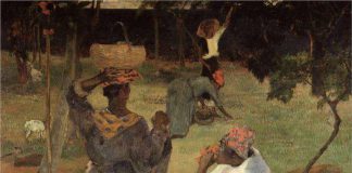 Mango pickers – Martinique