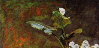 Arum and Conservatory Plants Obraz Renoir - Arum and Conservatory Plants